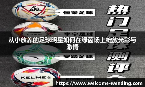 问鼎娱乐官方网站